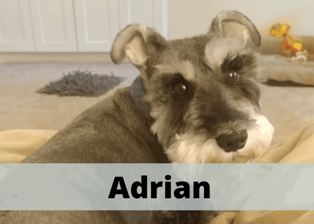 Adrian