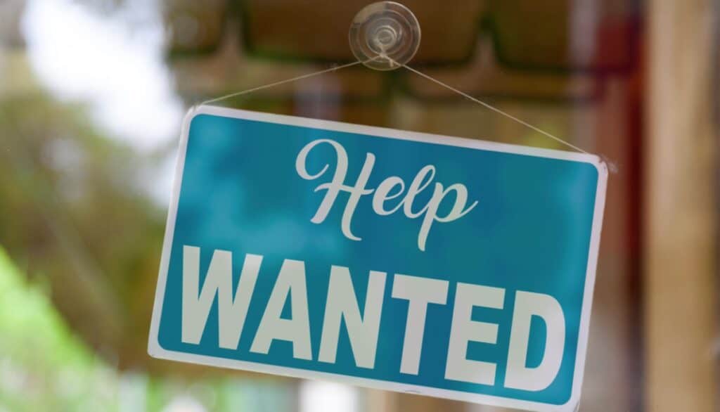 DIY Hiring a Virtual Employee