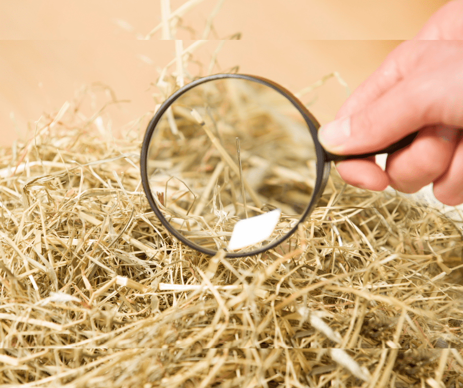 Finding the Needle in the Hay Stack